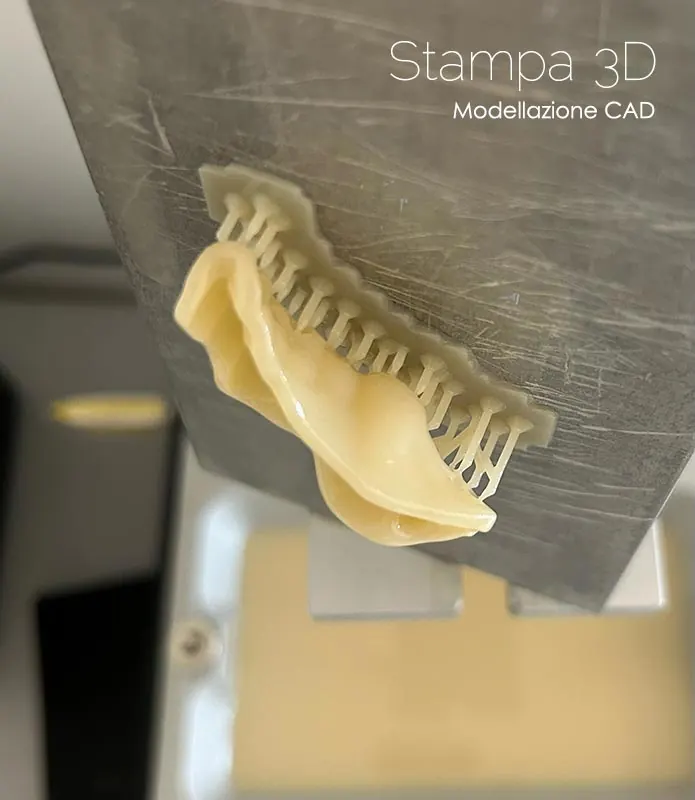 Dima in resina stampata in 3D da modellazione CAD